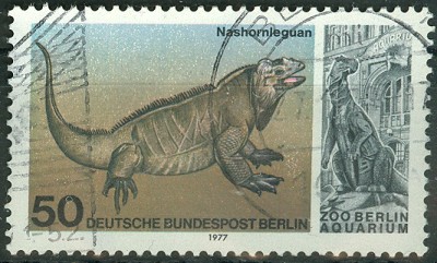 Berlin 1977.jpg