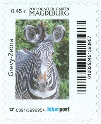ZOO Magdeburg-GrevyZebra.jpg