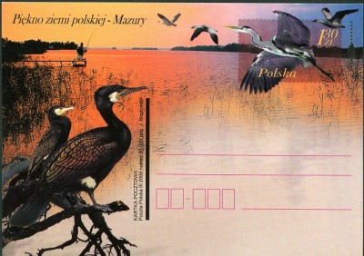 Polen 2006, MiNr. Illu Postkarte 1Zl30.jpg