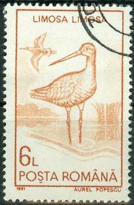 Rumänien 1991, MiNr. 4650, Limosa limosa.jpg