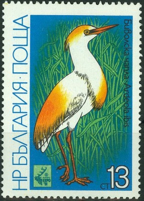 Bulgarien 1981_IntjagdEXPO 1981_ 13 Stotinki-Wert.jpg