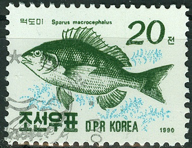 NordKorea 1990, MiNr. , FischMotiv, Sparus macrocephalus.jpg