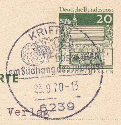Erdbeere_0001.jpg