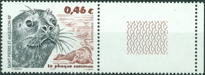 StPundM-RF_Seehund, Phoca vitulina.jpg