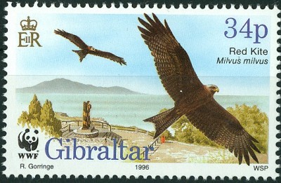 Gibraltar 1996 - Roter Milan -4.jpg