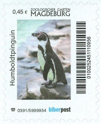 ZOO Magdeburg-Humboldtpinguin.jpg