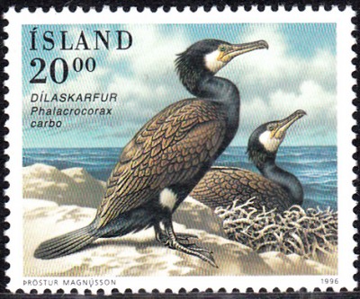 Vögel_0010.jpg