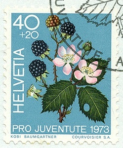 Schweiz 1973, MiNr. 1015, Brombeere.jpg