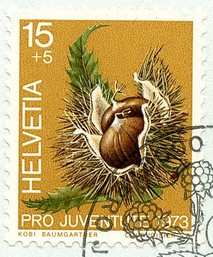 Schweiz 1973, MiNr. 1013, Maroni.jpg