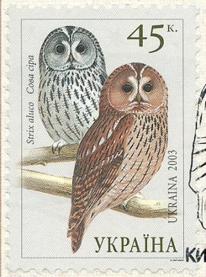 Ukraine 2003, MiNr. 576, Strix aluco.jpg