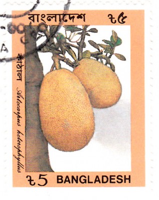 Früchte1_0005.jpg
