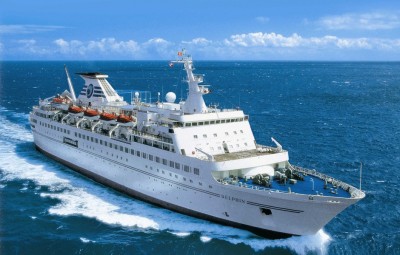 MS_Delphin.jpg