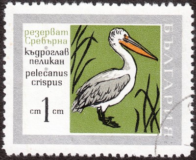IMG - Kopie (2).jpg