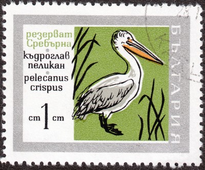 IMG - Kopie.jpg