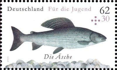 Fische_0001.jpg