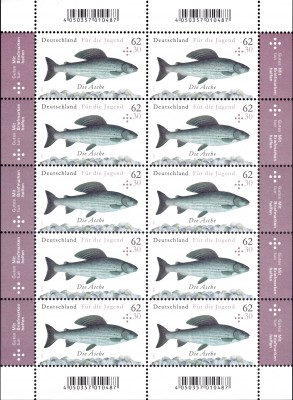 Fische_0002.jpg