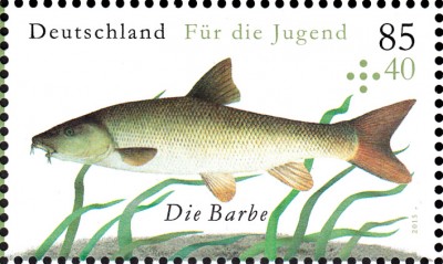 Fische_0003.jpg