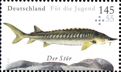 Fische_0005.jpg