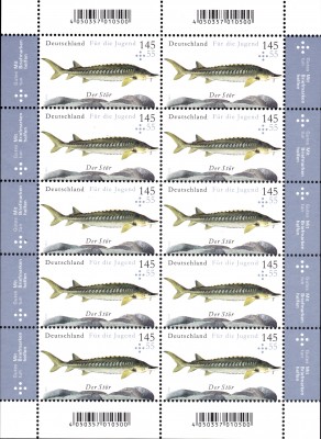 Fische_0006.jpg
