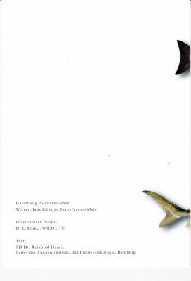 Fische_0013.jpg