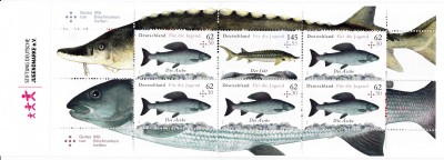 Fische_0008.jpg