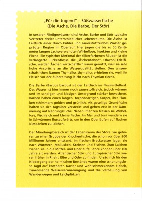 Fische_0019.jpg