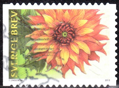 Dahlie_0001.jpg