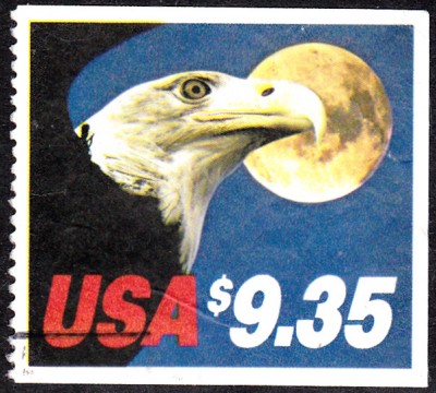 Adler.jpg