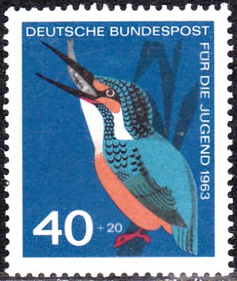 Eisvogel_0002.jpg