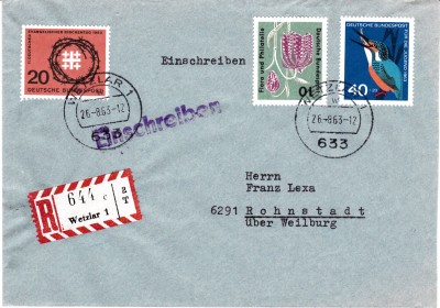 Eisvogel_0001.jpg