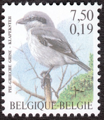IMG - Kopie.jpg