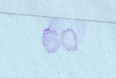 IMG5_0005.jpg
