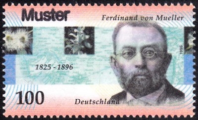 BundMuster_0006.jpg