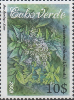 CV 2009 947 - Pflanzen.jpg