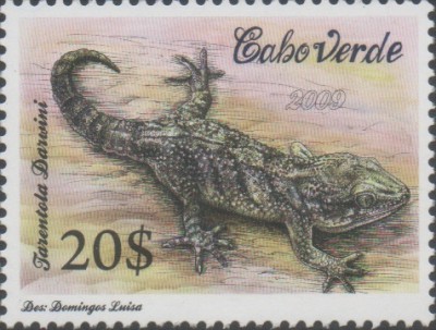 CV 2009 948 - Echsen.jpg