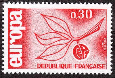 IMG5_0008.jpg
