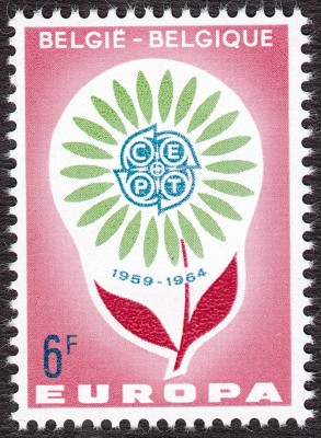 IMG5_0005.jpg
