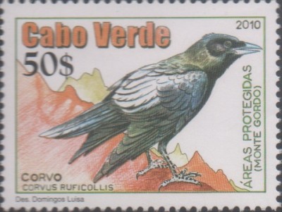 CV 2010 962 - Monte Gordo.jpg