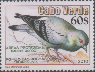 CV 2010 963 - Monte Gordo.jpg