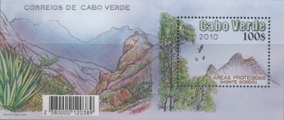 CV 2010 964 - Monte Gordo.jpg
