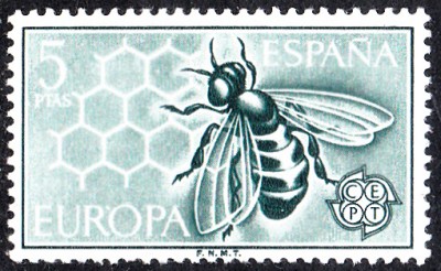 E1962_0001.jpg