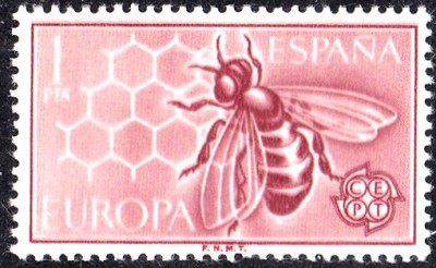 E1962.jpg