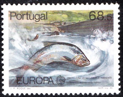 E1986_0003.jpg