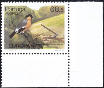 E1986_0005.jpg