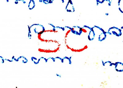 IMG5_0002.jpg