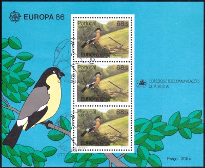 E1986_0009.jpg
