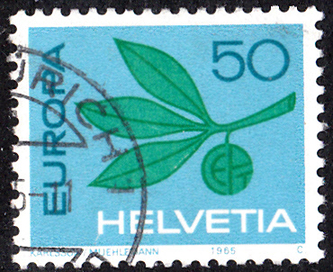 E1965_0008.jpg