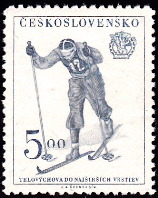 Sport_0385.jpg