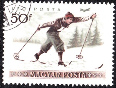 Sport_0388.jpg