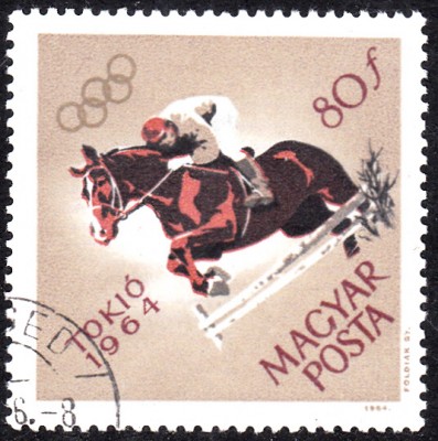 Sport_0477.jpg